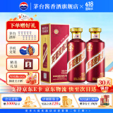 茅台（MOUTAI）茅台迎宾酒 酱香型白酒礼盒装 紫迎宾 喜酒婚宴 53度 500mL 2瓶 茅台迎宾酒（紫）