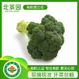 北菜园有机西兰花西蓝花 约300-400g 宝宝食材【进店多样加购】有机蔬菜