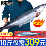 渔吻青岛春鲅鱼大鲅鱼整条10斤海鲜送礼海鱼冷冻马鲛鱼海捕鲅鱼送丈人 鲅鱼礼盒10斤/1条
