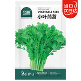 北蔬 茼蒿种子小叶皇帝菜家庭阳台蔬菜种籽 小叶茼蒿种子20g约9700粒