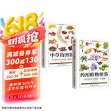 药用植物图鉴+中草药图鉴套装（全2册）生活百科全图鉴