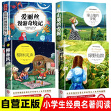 【全4册】柳林风声+绿野仙踪+爱丽丝漫游奇境记+绿山墙的安妮 小学三四五六年级阅读课外书籍阅读世界文学名著拓展阅读名师导读版 开学季