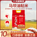 太粮韶关马坝油粘米10斤装 长粒猫牙大米5kg 地标特产 自营新米