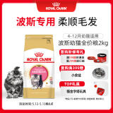 皇家猫粮 波斯幼猫粮 KP32 通用粮 4-12月 2KG