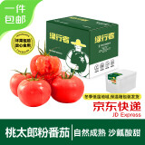 绿行者（GREER）桃太郎粉番茄 净重3斤 单果130g+ 约8-11枚 西红柿 源头直发