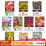 花沃里10款花种子套餐 花卉种子组合太阳花凤仙花向日葵四季种野花种籽