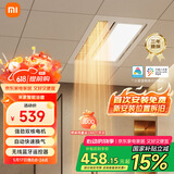米家（MIJIA）智能浴霸快速升温【国家补贴】双核多功能风暖照明一体 智能控制