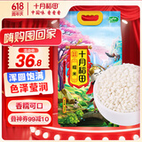 十月稻田 糯米 5斤（黏米江米 粽子米 东北 五谷杂粮 粥米伴侣 端午节）