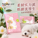 HONEYCARE宠物吸尿纸 无纺布尿垫猫狗尿片 加厚狗狗厕所垫M码25*30cm60片 