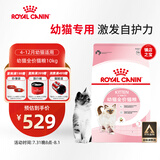 皇家幼猫猫粮 幼猫奶糕 K36 通用粮 4-12月 10KG