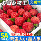 甜萌果蔬【JD顺丰速发】海南荔枝王 超大荔枝新鲜水果盒子送礼端午节 3斤手挑6A特大果【单果约25g+】净2.5斤