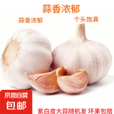 京喜自营精选大蒜水果蒜调料蔬菜火锅烧烤牛肉小龙虾食材 推荐 5-6头 100g 单果3.5-5cm