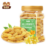 憨豆熊树上黄葡萄干418g 新疆特产大颗粒无籽鲜甜无核果干蜜饯