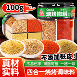 川珍四合一烧烤撒料100g真材实料烧烤料孜然粉芝麻盐辣椒粉五香粉组合