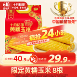十月稻田 黄糯玉米  3.52斤(220g*8根) 东北粘苞米 早餐 蛇年限定