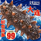 皇家麒麟 即食海参 即食大连刺参单个装辽刺参海参干货水产礼盒净含量500g 7A鲜食海参 9-12只/斤 五斤装