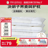 罗莱家纺 枕头枕芯脊椎枕 100%全棉决明子荞麦花草护颈低枕 46*72