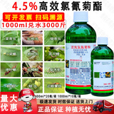 威尔达 高效氯氰菊酯 乳油剂果树蔬菜茶树茶尺蠖棉铃虫潜叶蛾农药杀虫剂 1000ml