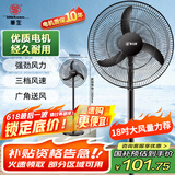 华生（Wahson）电风扇家用落地扇交流定频电扇立式工业扇18吋牛角扇低噪大风量宿舍办公车间商用强力风扇FS-D1806