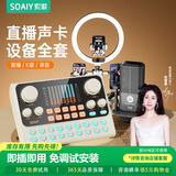 索爱（soaiy）直播设备全套装 手机声卡唱歌专用抖音网红主播户外K歌录音麦克风话筒支架专业外置 S6+SC8+灯