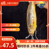 三都港 鲜冻原条黄花鱼净重2斤/2条 宁德大黄鱼 海鱼 生鲜 端午节