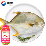 翔泰 海南大规格金鲳鱼550g1条 海鱼 生鲜鱼类 火锅 海鲜水产