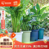 爱丽思花盆塑料圆形树脂多肉花盆种花种菜盆绿萝爱丽丝 蓝色口径20.3cm