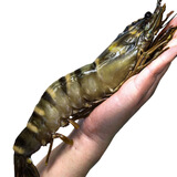 鲜承 超大黑虎虾越南进口 生鲜超市虾类 活冻大虾老虎虾海鲜礼盒 送礼4盒装【8只】 3200g(净重)