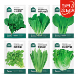 北蔬 蔬菜种子种苗大全生菜香菜菠菜夏季阳台菜籽 6种叶菜类蔬菜种子