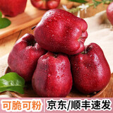 甘肃天水花牛苹果粉面红蛇大果 老人小孩新鲜苹果水果 净重8.5斤 单果170g+