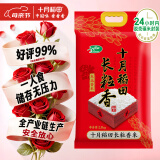 十月稻田 当季新米 长粒香大米 5斤（东北大米 香米 2.5公斤/五斤）