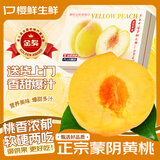 樱鲜正宗蒙阴黄桃山东当季新鲜黄桃现摘桃子孕妇水果礼盒 精选 ｜单果100-120g 3斤尝鲜装净重2.5斤
