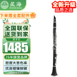 星海星海黑管E-381 演奏考级专用单簧管乐队舞台演奏乐器