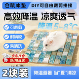 MDUG仓鼠冰垫凉席夏天降温板凉垫冰床金丝熊龙猫刺猬冰垫避暑家具造景 10cmx10cm 仓鼠凉席凉垫【2块装】
