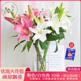 悦多彩AB级优质香水百合 家庭办公室各色生活鲜花 昆明基地 现采直发 百合组合20朵（粉色/白色各10朵）