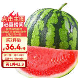 京鲜生 甘美4K西瓜 1粒 单果6斤起 生鲜水果
