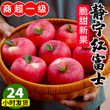 静宁苹果 【顺丰到家】甘肃红富士苹果水果 新鲜应季静宁苹果 净重6斤大果80mm