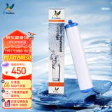 道尔顿（Doulton）【英国原装进口】净水器滤芯 KDF DIP301专用适配滤芯BioTect Ultra 9004型