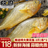渔吻深海特大黄花鱼新鲜海捕冰鲜大黄鱼2斤一条海鲜鱼类 【2条】特大黄花鱼2斤/条