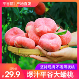 端荟【平谷馆】平谷蟠桃扁桃子现摘现发爆汁纯甜时令水果新鲜 2斤（单果75g起）试吃尝鲜