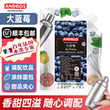 安德鲁果酱颗粒水果1kgANDROS面包酸奶饮品烘焙蛋糕甜品奶茶气泡水原料 大蓝莓1kg(25%蓝莓添加量)