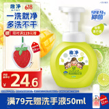 狮王（Lion）趣净泡沫抑菌洗手液绿野青芒香250ml天然植萃保湿家庭滋润儿童