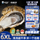 贝司令（BEISILING）【鲜活】乳山生态生蚝牡蛎贝类烧烤源头直发6XL净重9斤12-16只装