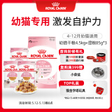 皇家猫粮 幼猫猫粮 干湿搭配 K36 4.5kg+啫喱肉冻KJP 85G*3