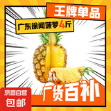 广东湛江徐闻菠萝 香水菠萝 热带水果 2个 净重2.6-2.8斤 单果1.3斤起