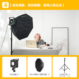锐鹰（FALCONEYES）SQ3补光灯可调色温320W直播摄影灯COB视频拍摄LED常亮灯 单灯套装（80cm易撑八角蜂巢箱）【人物辅光】