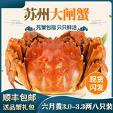 【活蟹】阳澄迦大闸蟹 现货鲜活螃蟹公蟹可全母蟹生鲜 精品六月黄3.0-3.3两八只礼盒装