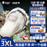 贝司令（BEISILING）【鲜活】乳山生态生蚝牡蛎贝类烧烤源头直发3XL净重4斤 10-15只装