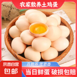 京喜加 鲜鸡蛋 土鸡蛋  五谷喂养 山林自养鸡蛋早餐 生鲜超市买菜40g 10枚 0.4kg