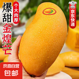 广西金煌芒新鲜进口水果当季热带大青皮芒果整箱批发送礼品物盒 净重1斤装 【尝鲜】 精品果【单果200g+】